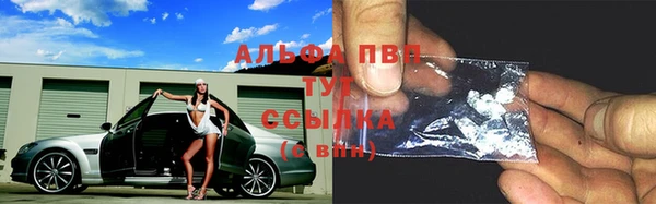 сатива Абаза