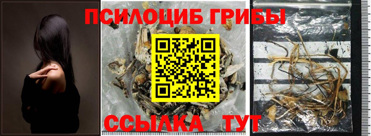 Советский  Галлюциногенные грибы Psilocybine cubensis  Вход с VPN 